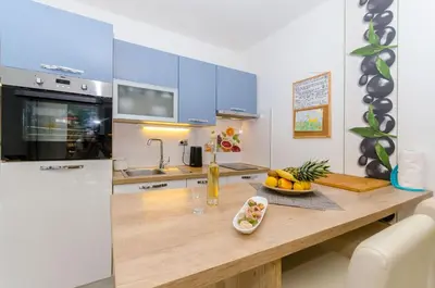 Kuhinja ili čajna kuhinja u objektu Apartments Apollo