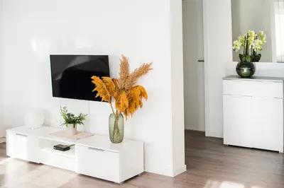 TV i/ili zabavni centar u objektu Apartment dream view