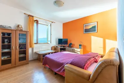 TV i/ili zabavni centar u objektu The View Apartment
