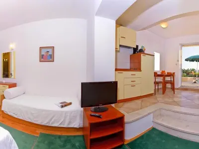 TV i/ili zabavni centar u objektu Studio apartment in Brela with a sea view, terrace, air conditioning, WiFi 201-6