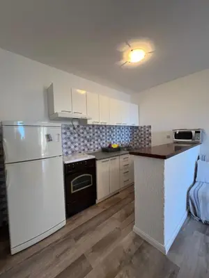 Kuhinja ili čajna kuhinja u objektu Apartmani Vranković