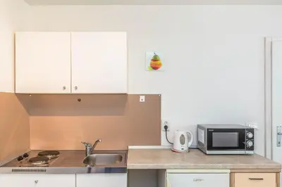 Kuhinja ili čajna kuhinja u objektu Apartment Adrian