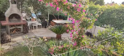 Vrt u objektu Apartmani Ivo