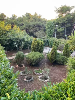 Vrt u objektu VILLA MARE