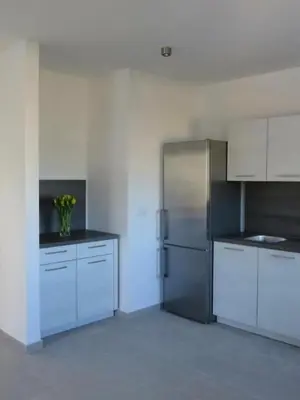 Kuhinja ili čajna kuhinja u objektu Villa Luce del Sole Apartment