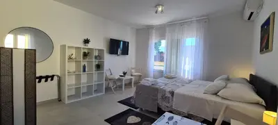TV i/ili zabavni centar u objektu Apartments Pleasures