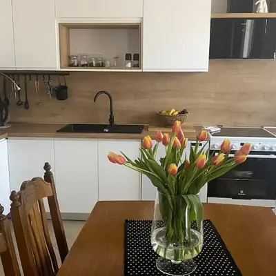 Apartman Milka