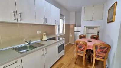 Kuhinja ili čajna kuhinja u objektu Apartments Iko Nemira