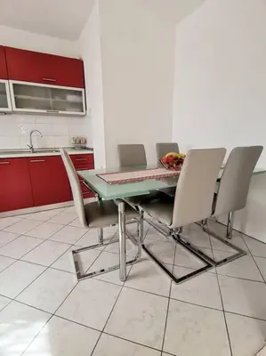 Kuhinja ili čajna kuhinja u objektu Apartman Pejić