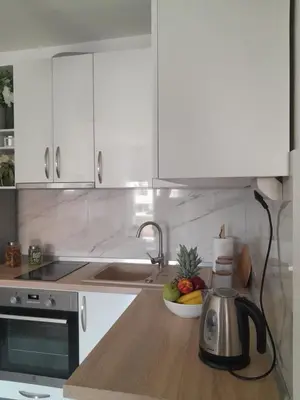 Kuhinja ili čajna kuhinja u objektu Relax