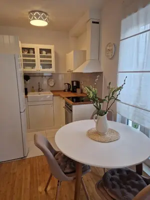 Kuhinja ili čajna kuhinja u objektu Apartman River Breeze
