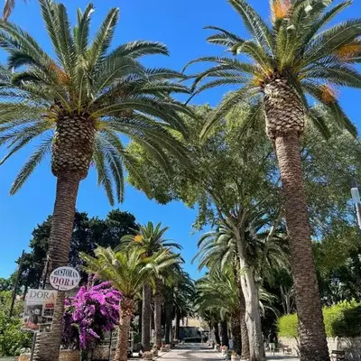 Apartmán BRAĆKI CVIJET