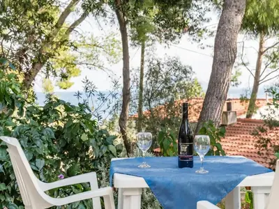 Pića u objektu Apartments Villa Pelegrin