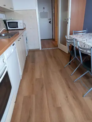 Kuhinja ili čajna kuhinja u objektu Apartment Galic