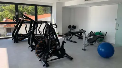 Fitness centar i/ili fitness sadržaji u objektu Luxurious and spacious pet friendly villa in Brela