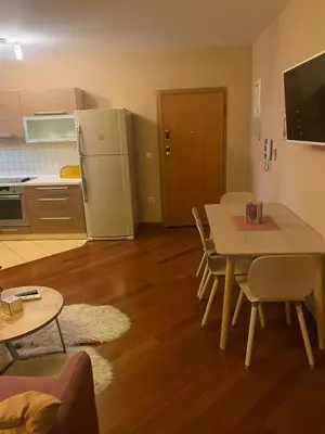 Kuhinja ili čajna kuhinja u objektu Apartmani PENAVIĆ