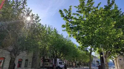 Okolica apartmana ili susjedstvo u blizini